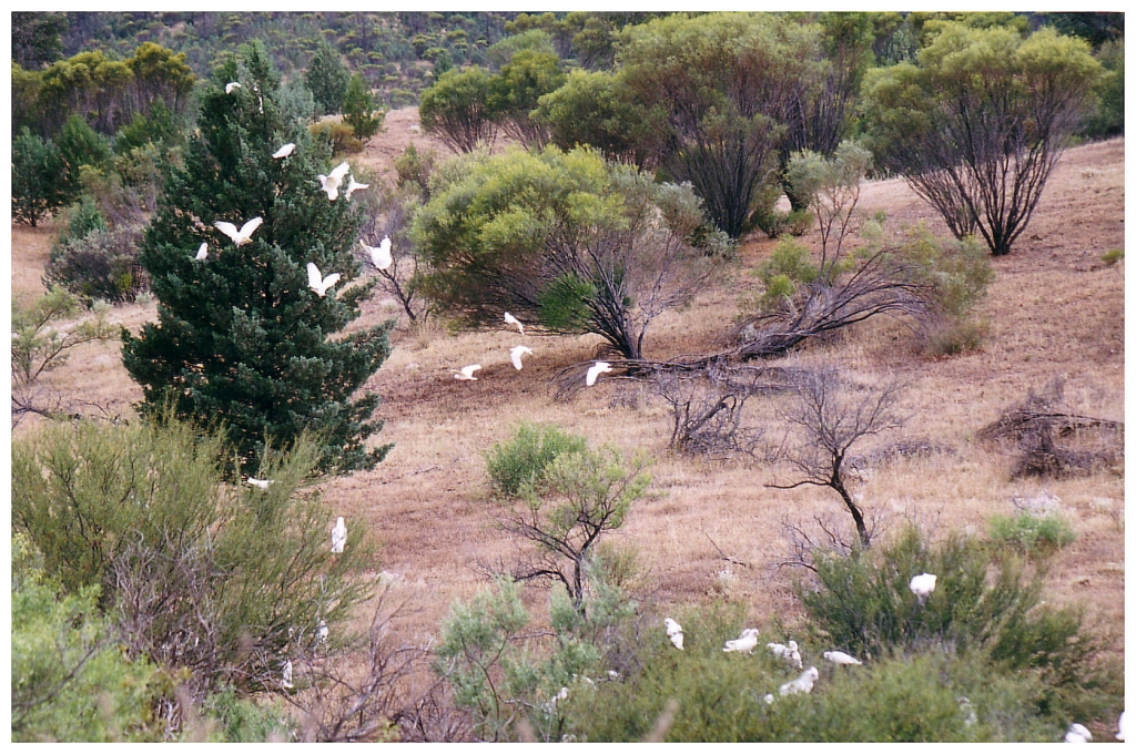 03 - The Flinders Ranges (29).jpg